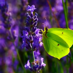 Chwile szczęścia...