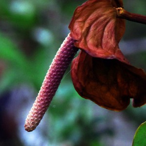 74610045_485738278686989_8843805500366651392_n