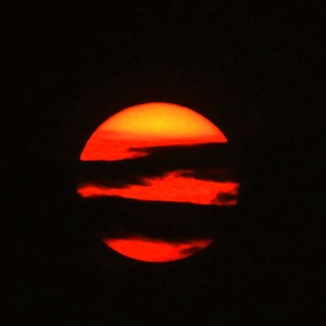 IMG_8781