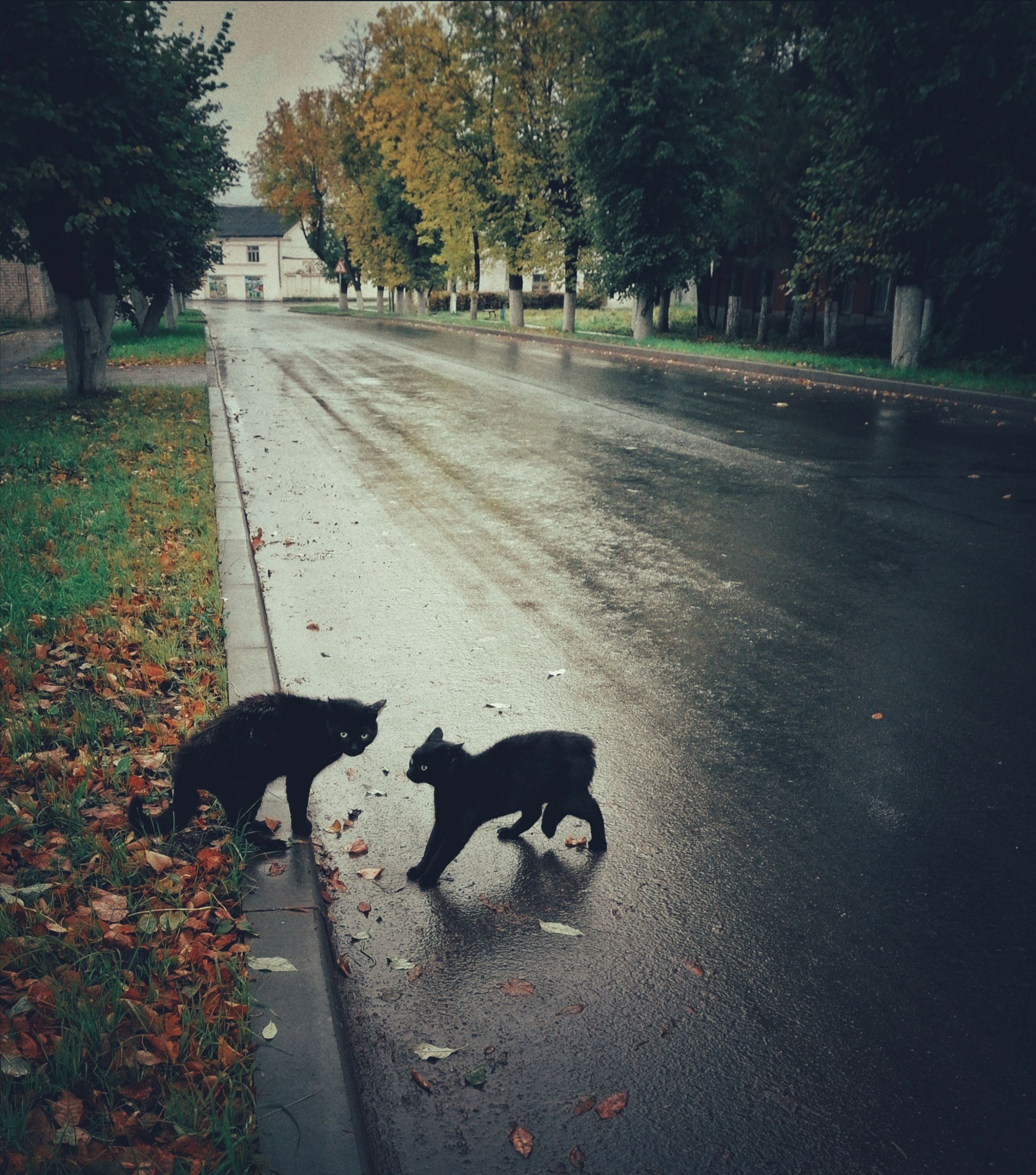 Кто главный?