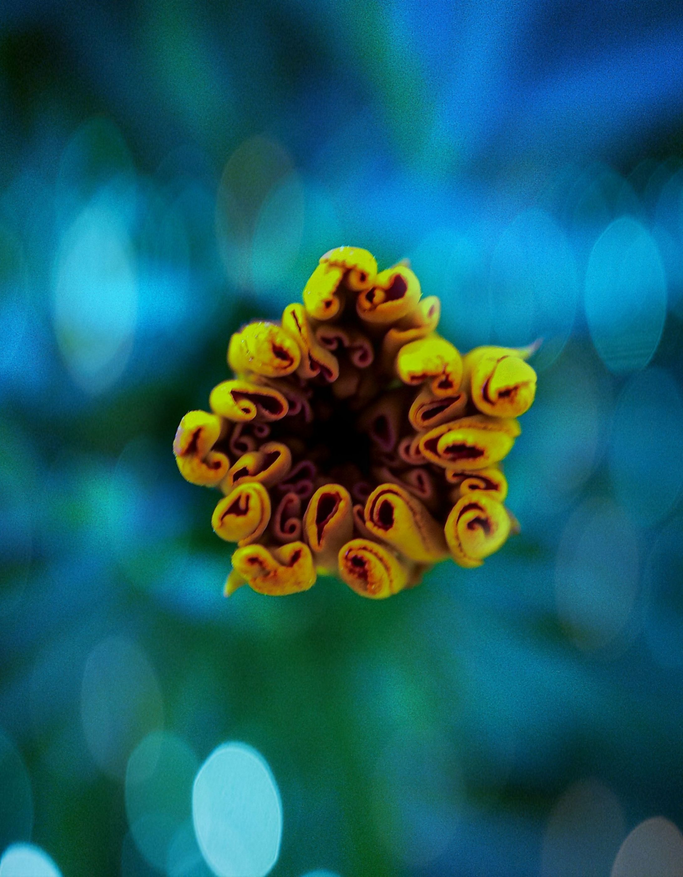 Picsart_22-02-06_14-16-15-586