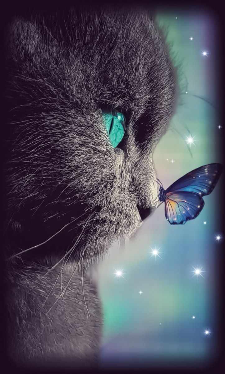 Picsart_23-11-29_00-25-03-502