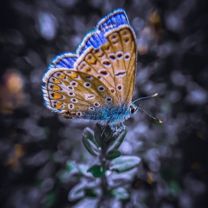 PSX_20220805_022735-01