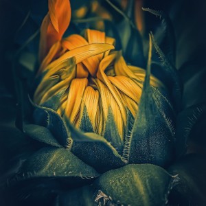 PSX_20220812_123746-01