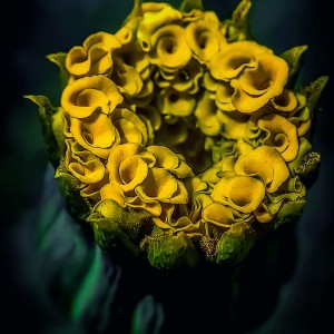 PSX_20220901_110906-01