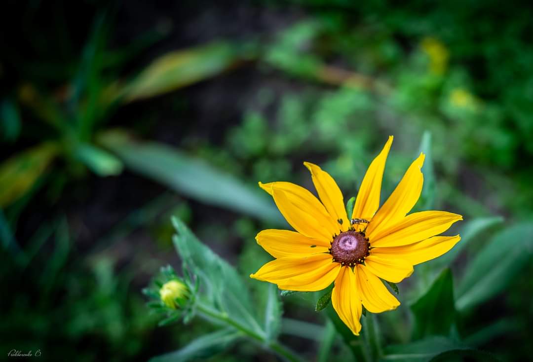 FB_IMG_1676720711016