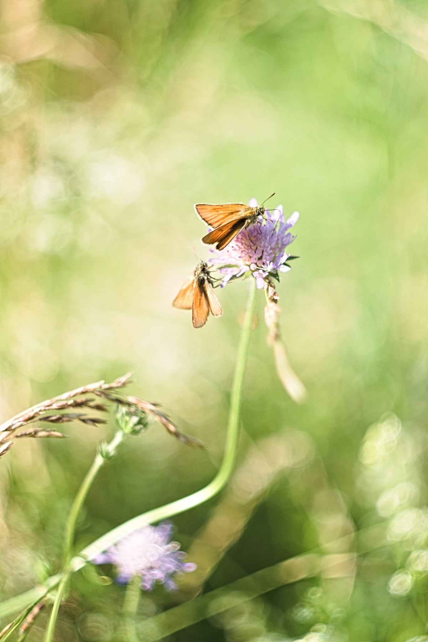 217590175_972028686944400_636484572777354909_n