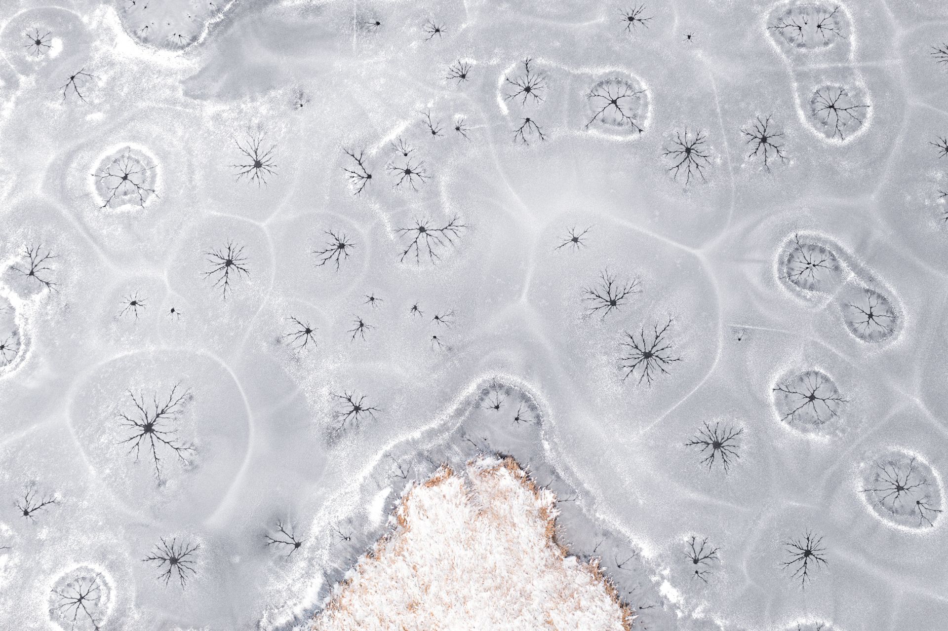 Beautiful_ice