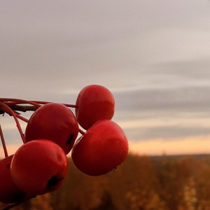 IMG_20211005_181436_882