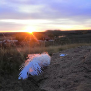 IMG_20211005_183508