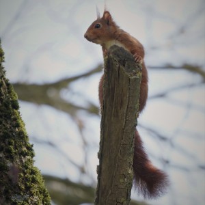 inbound3762742719567613569