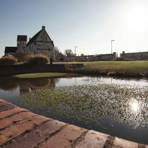 inbound6587172518369406433