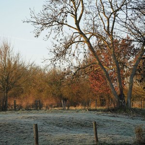 2021-12-21_12-11-53