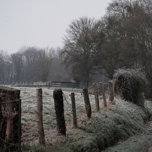 2021-12-29_10-26-12