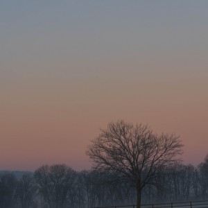2023-02-09_07-40-39