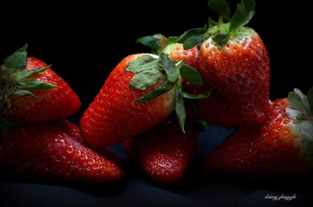 inbound331946812236982122