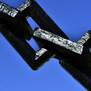 _DSC7822