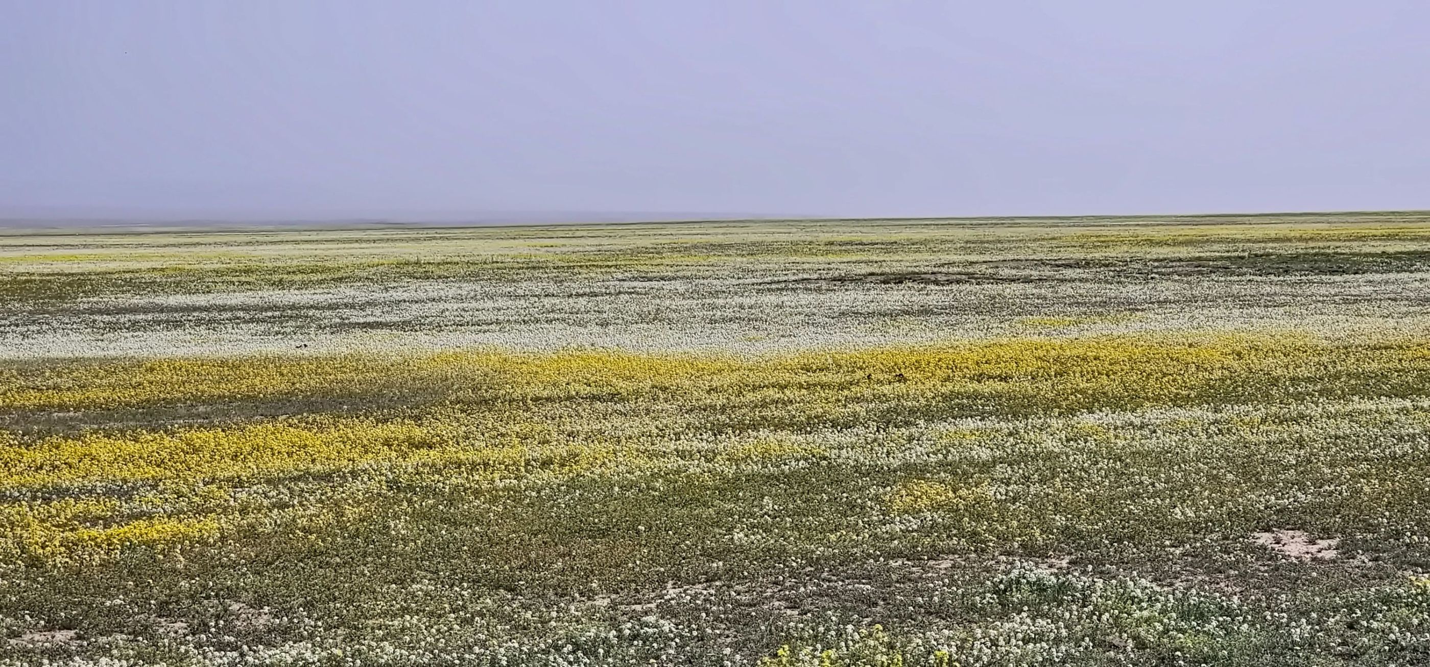 20250413_100452