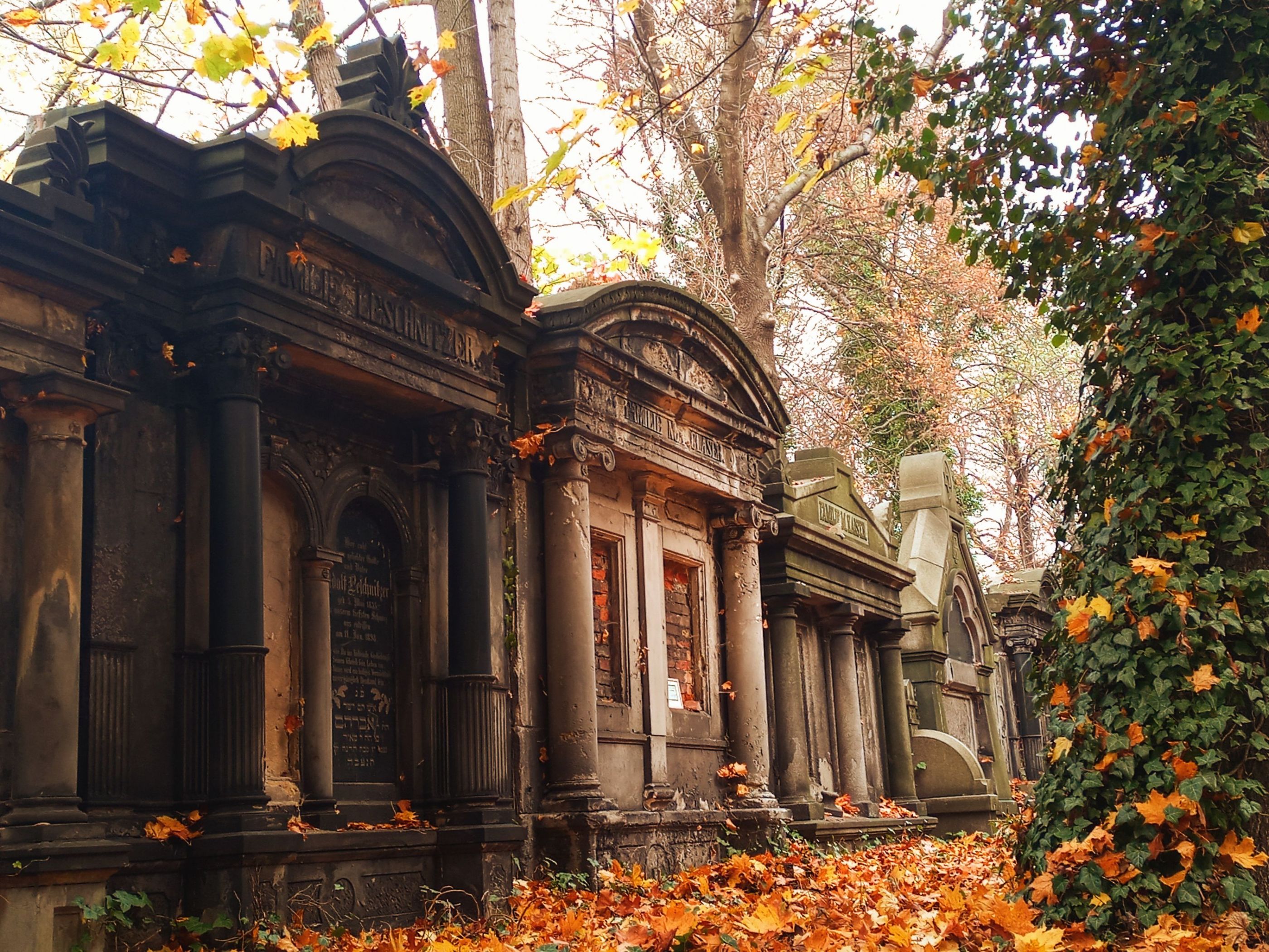 20221101_112845_HDR~2