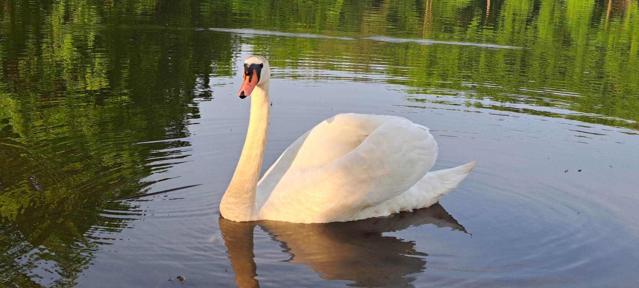 received_939572897361784