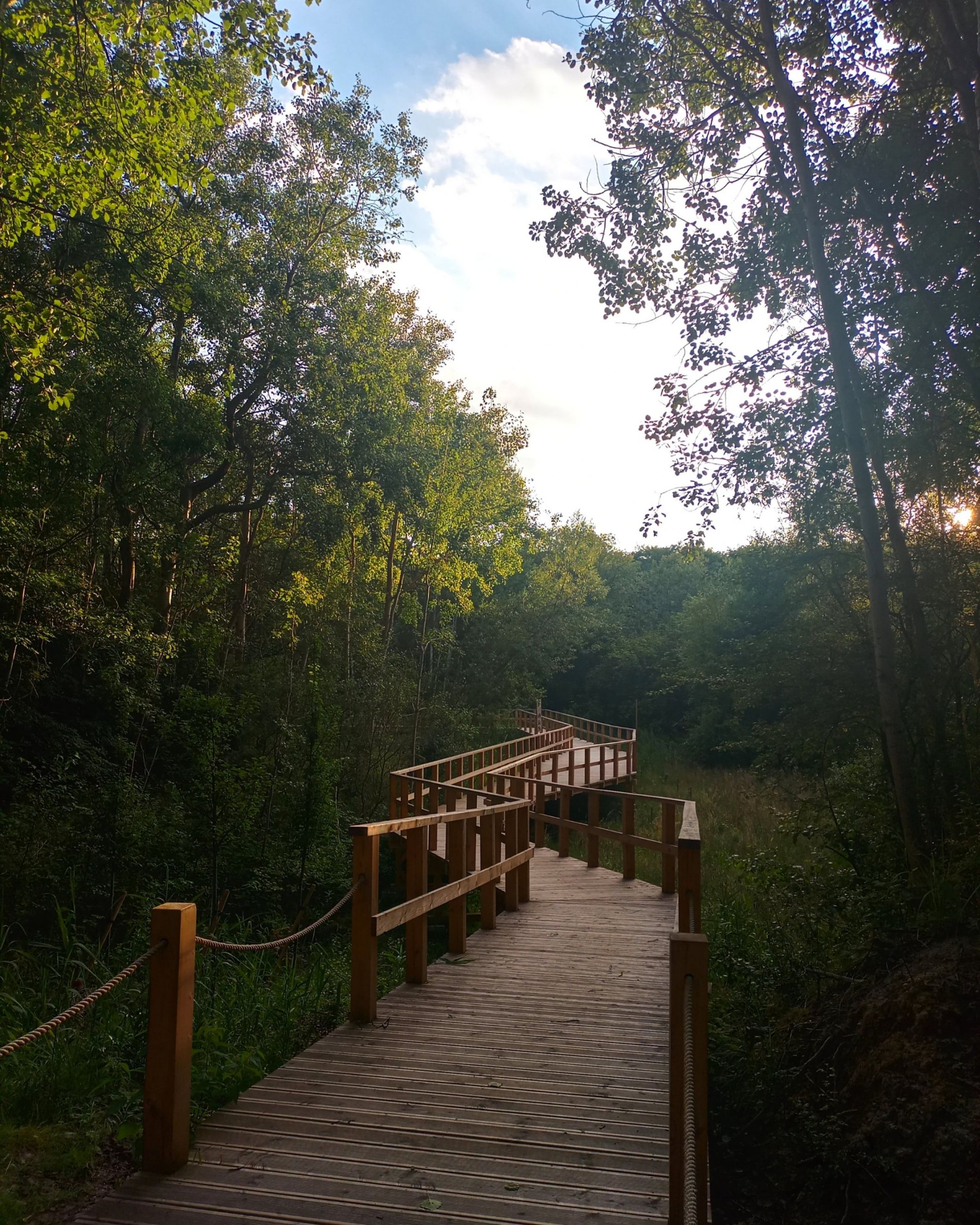 IMG_20230811_224155_605