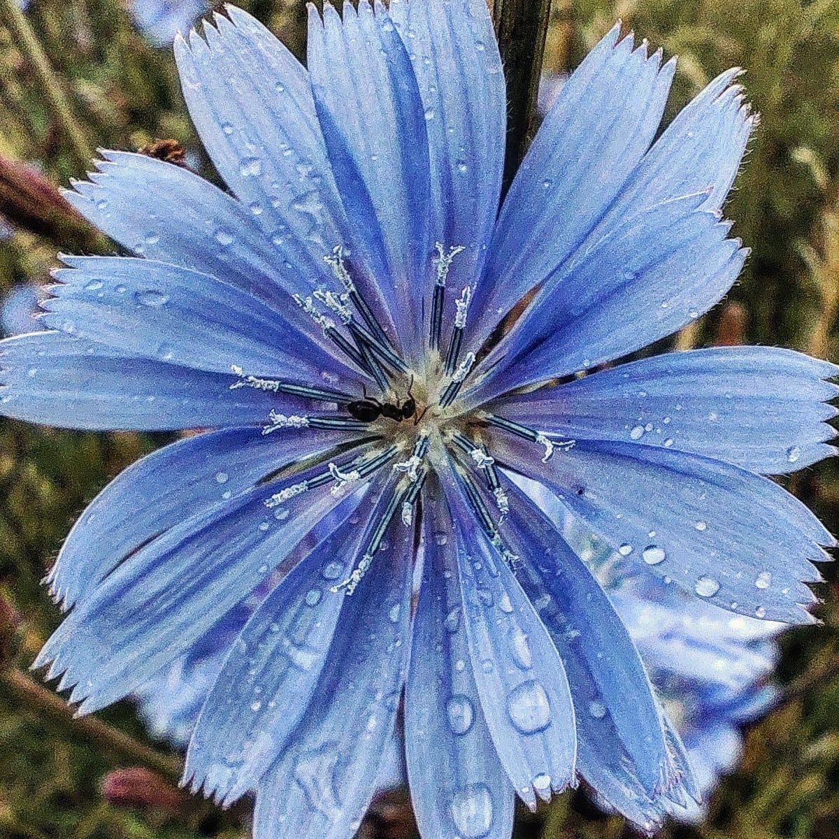 IMG_20240612_110707_415