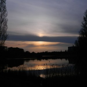 Staw Maroko Katowice