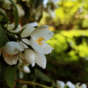 IMG_20240527_170527_713
