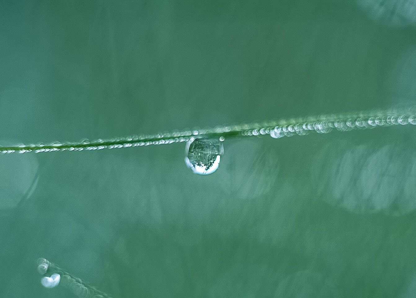 IMG_20200717_072104_007