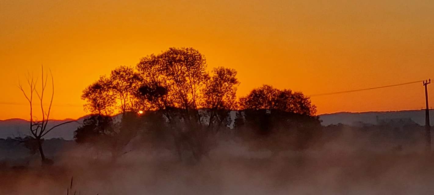 inbound3793178186533565788