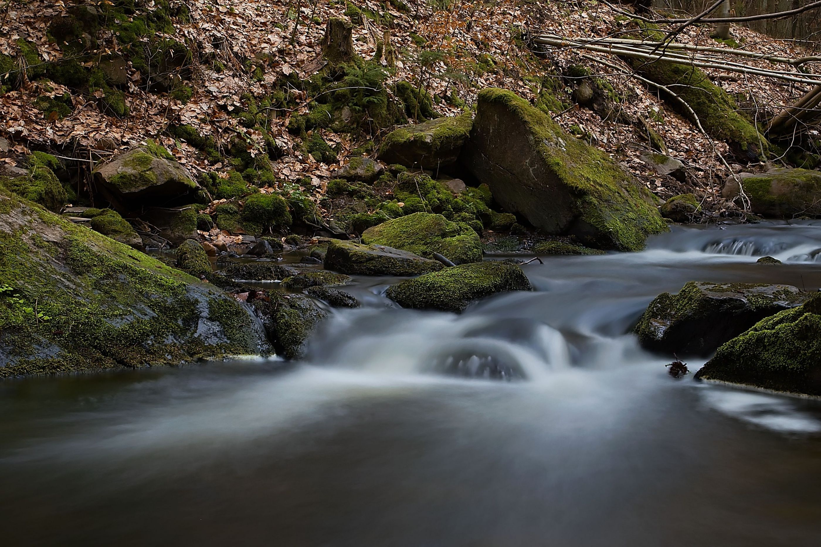 Prunéřovský potok