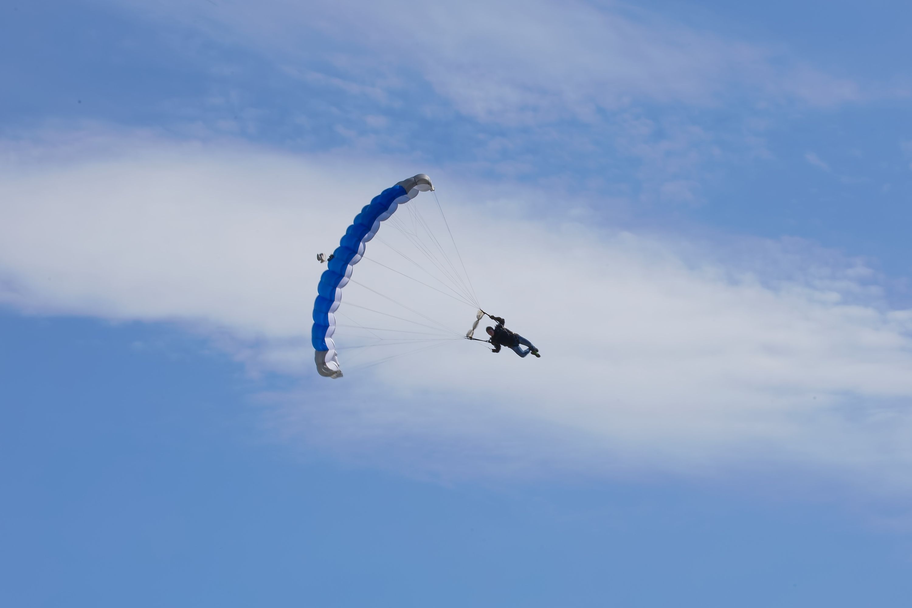 Skydiver