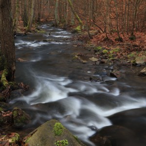 Prunéřovský potok