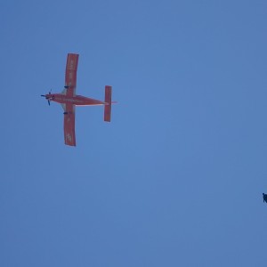 Plane and skydiver
