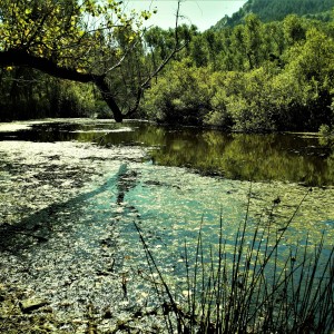 laghetto di alta montagna ?