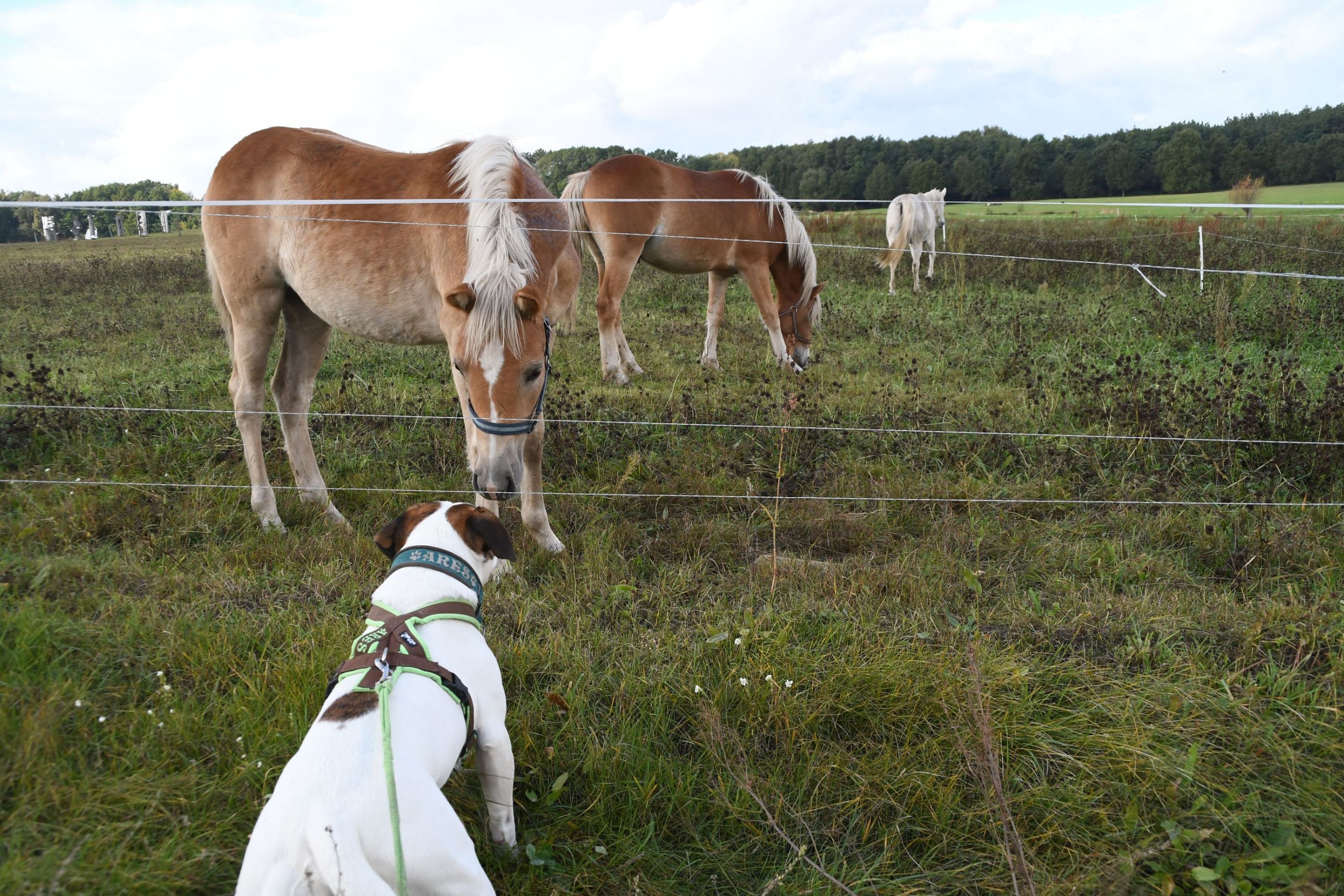 inbound6280947434127990761