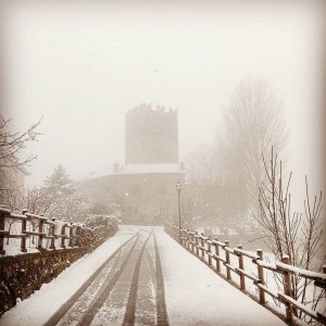 Neve