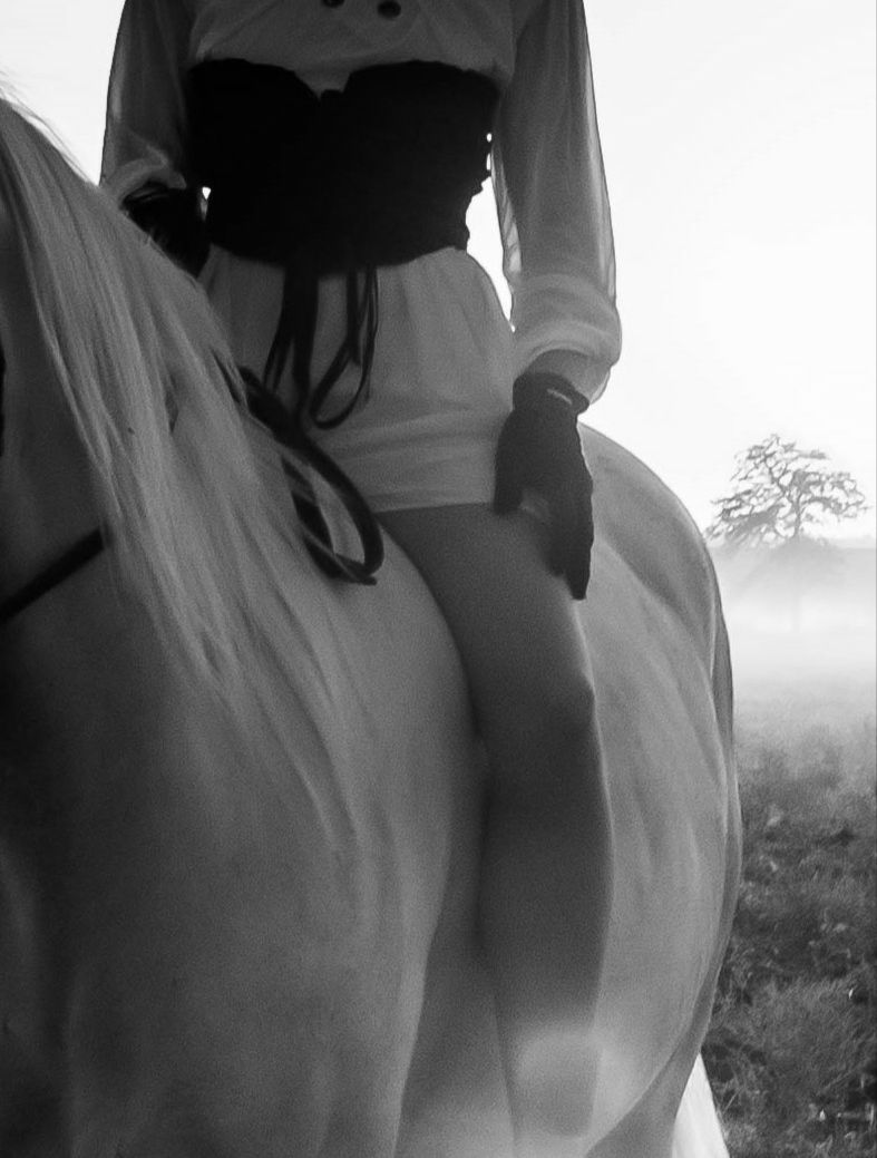 inbound276461696732490983