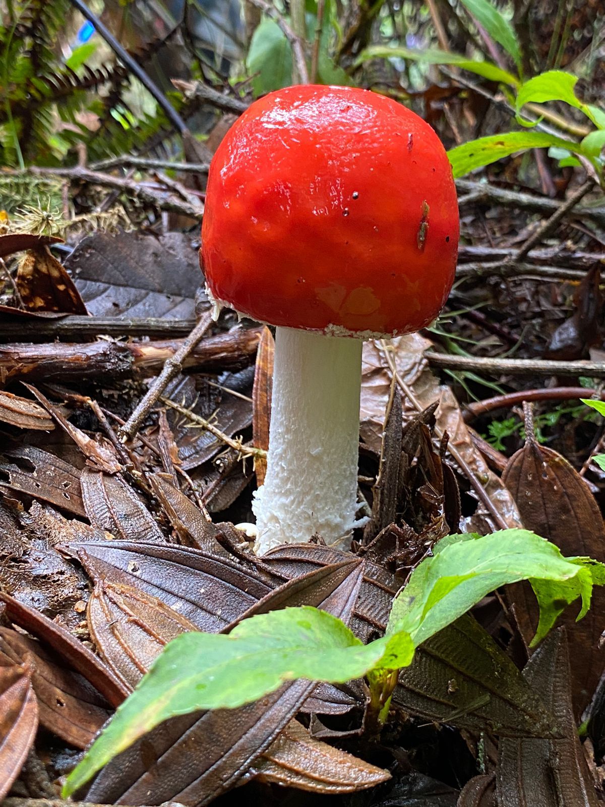 IMG-20230425-WA0052
