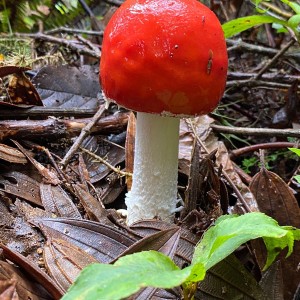 IMG-20230425-WA0052