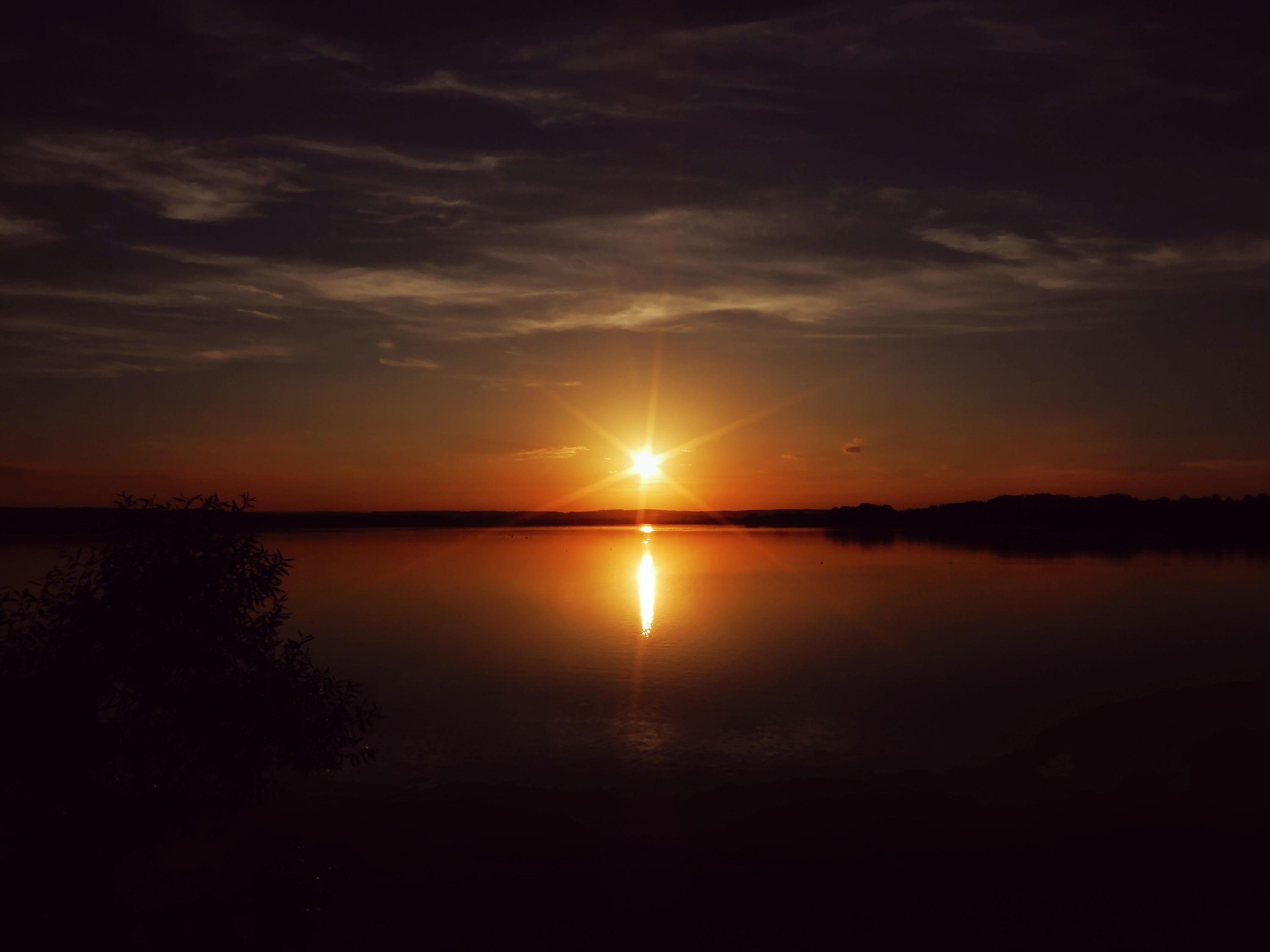 DSCN8865