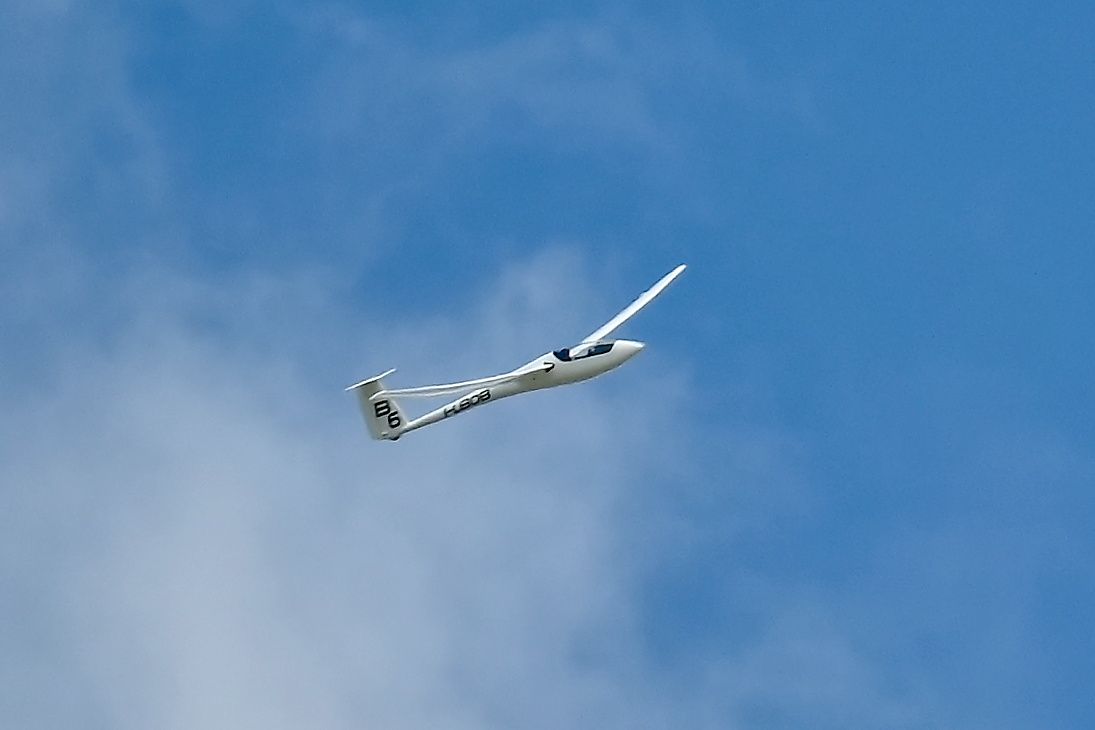 DSC_7446
