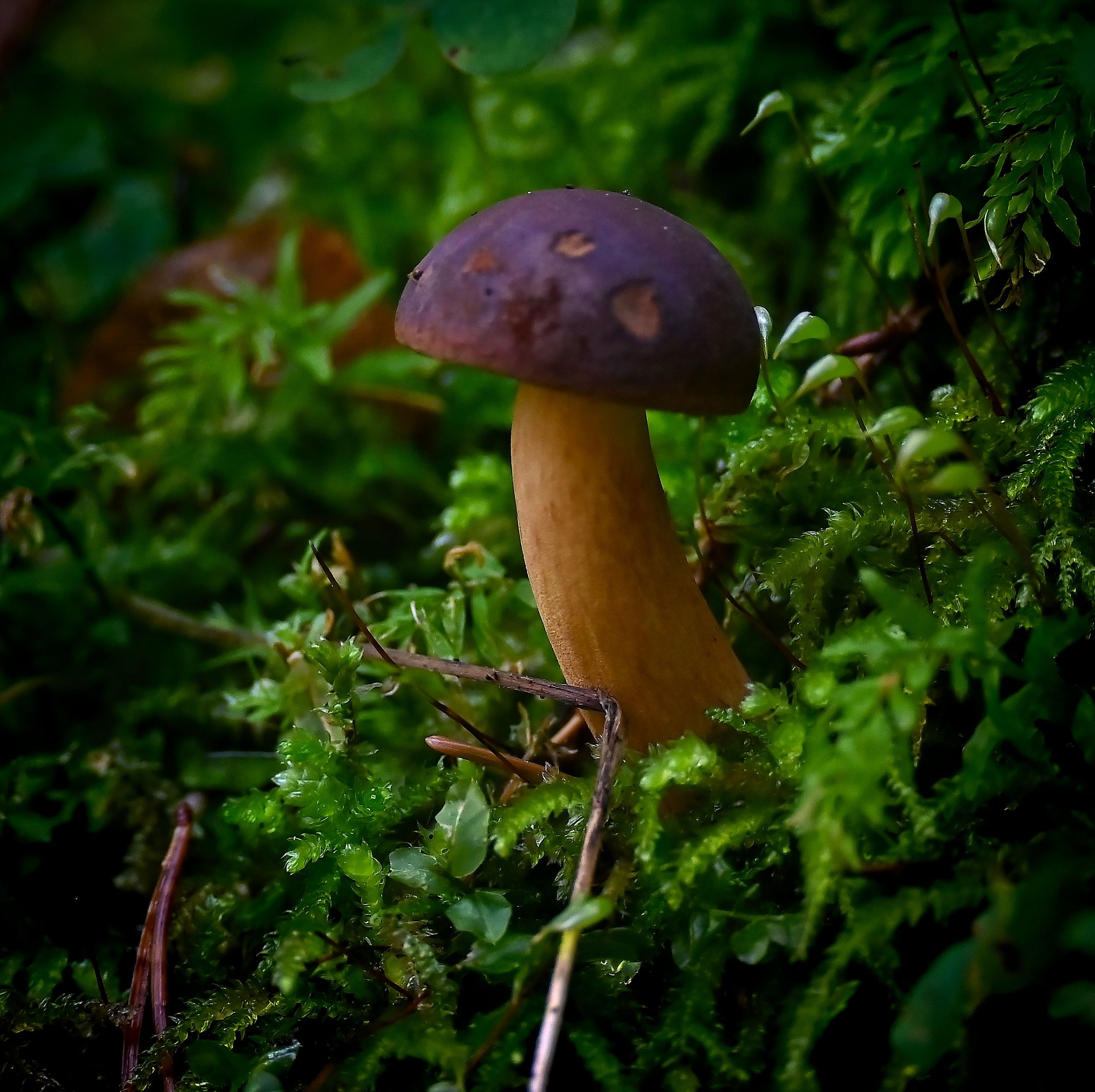 DSC_6311