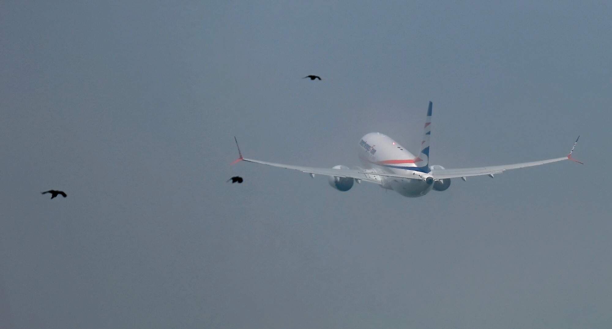 rajce-photo-1672471292