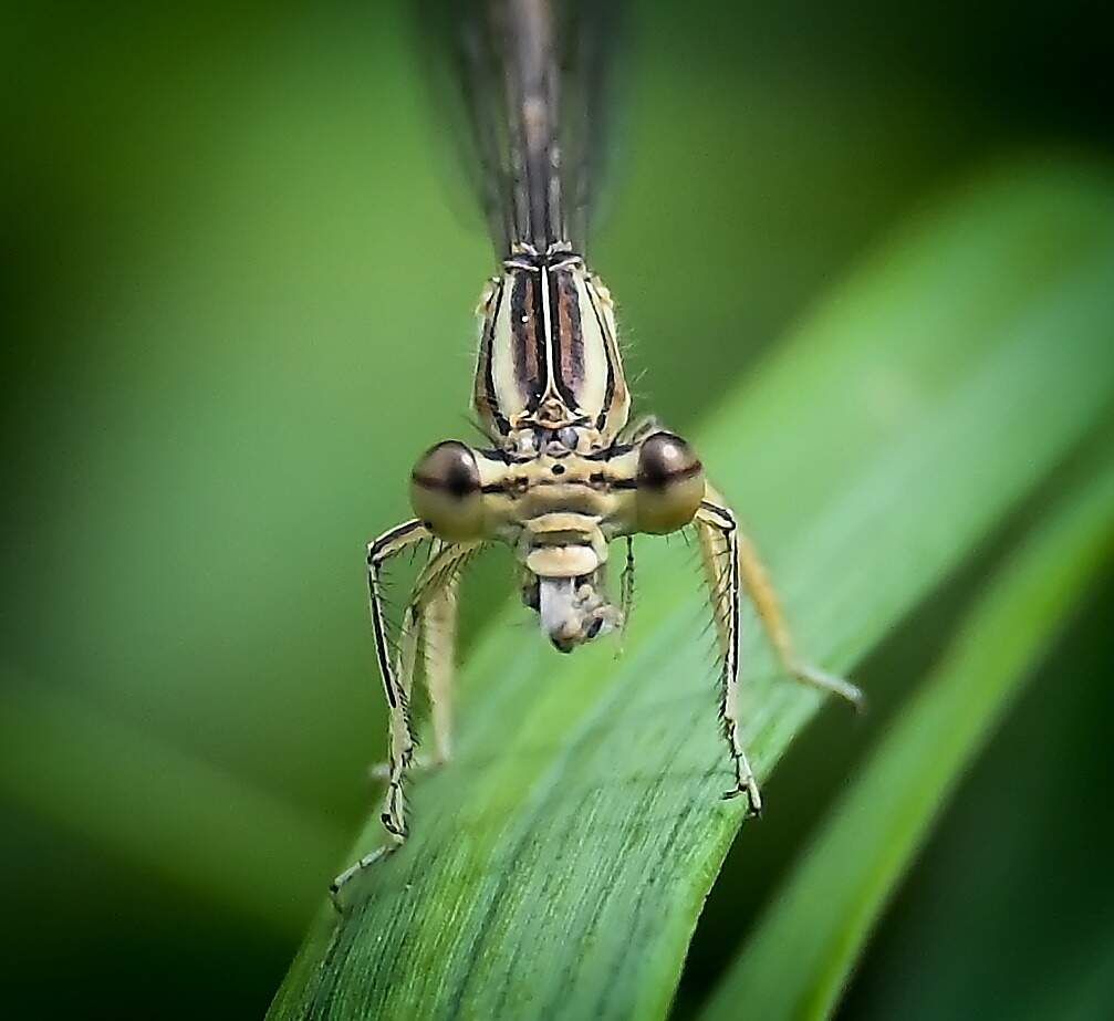 rajce-photo-1689422531