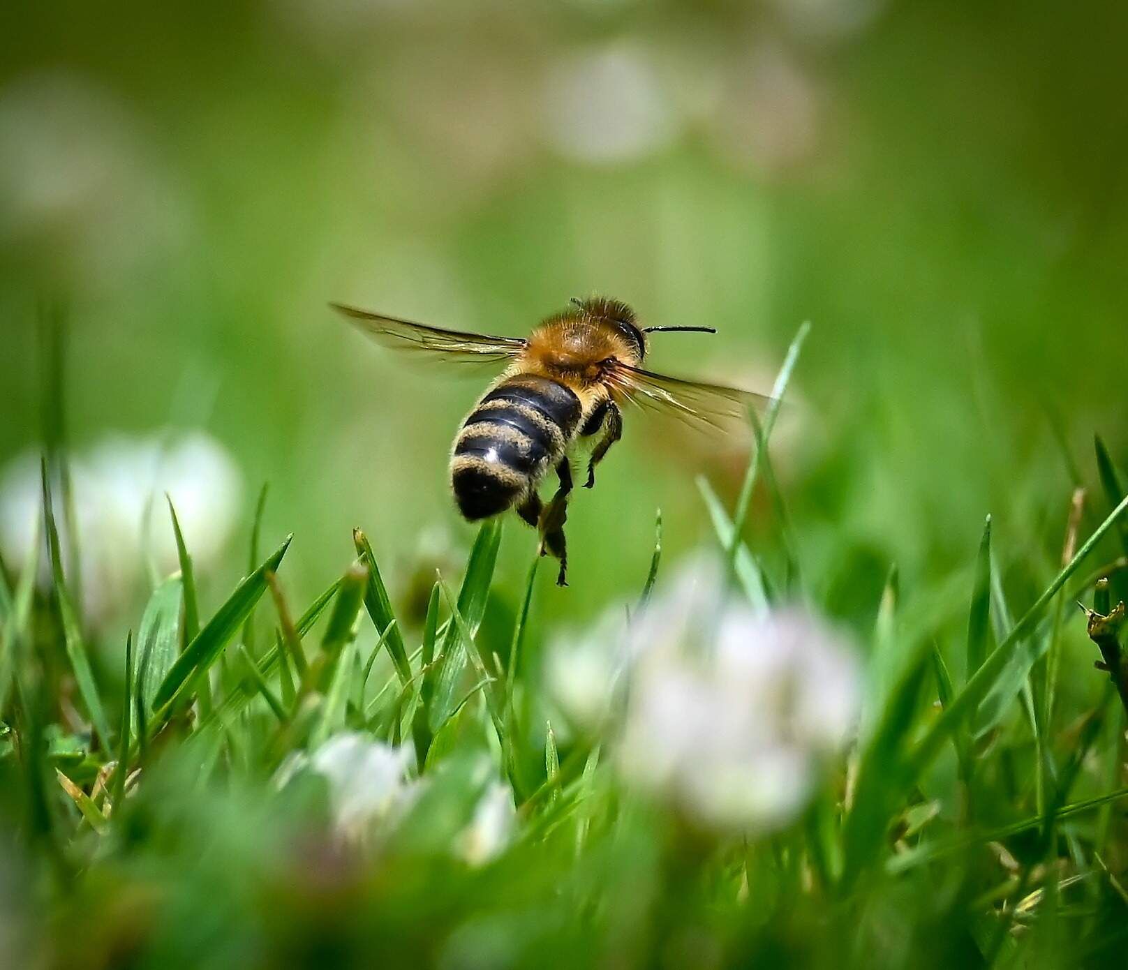 rajce-photo-1685640350