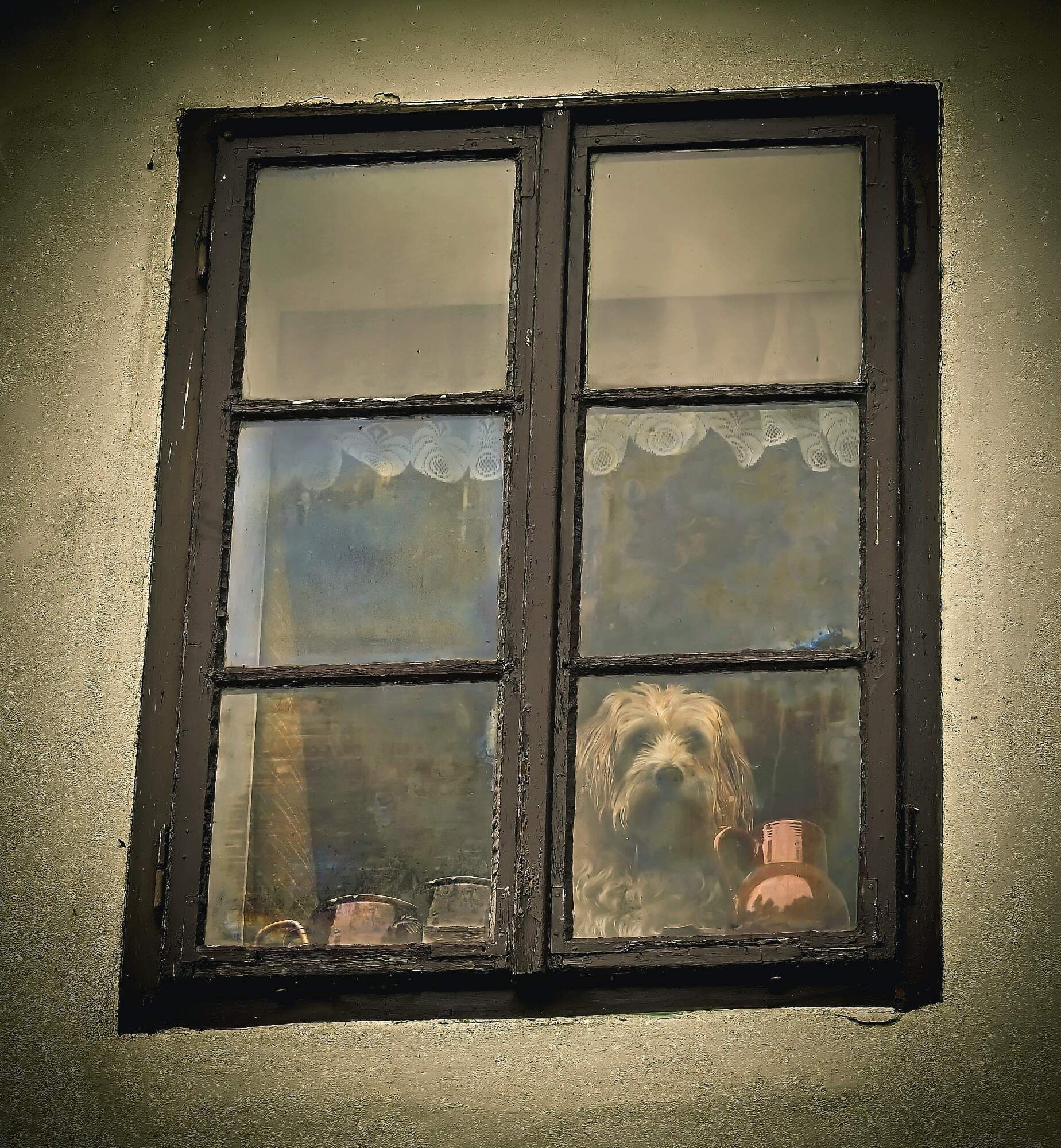 rajce-photo-1689422526