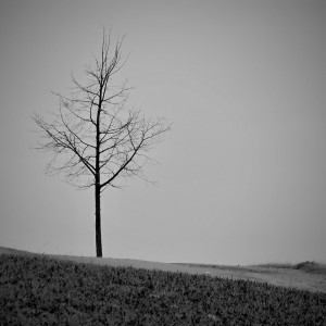DSCN9942