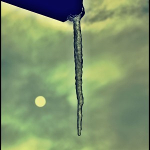 DSCN9381