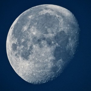 DSCN9593